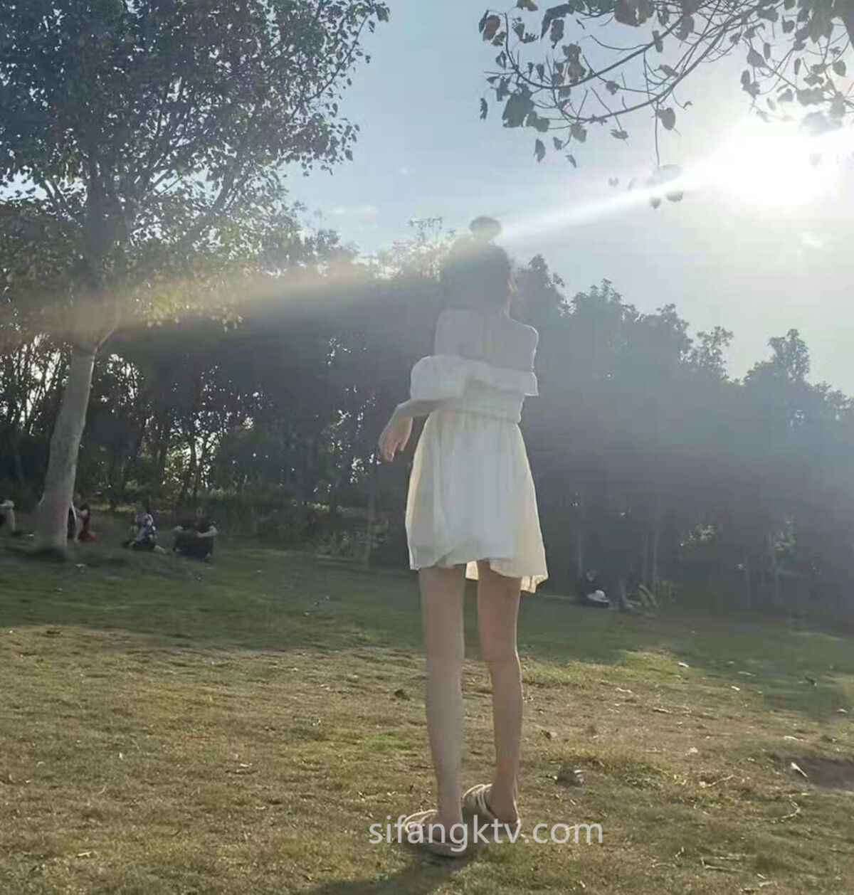 天天躁人人躁人人躁狂躁,5G影院天天5G天天爽,久久精品2019在线观看,国产精品久久久久久